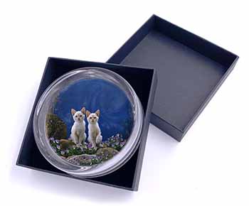 Fantasy Panther Watch on Kittens Glass Paperweight in Gift Box