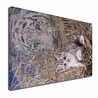 Kitten and White Tiger Watch Canvas X-Large 30"x20" Wall Art Print