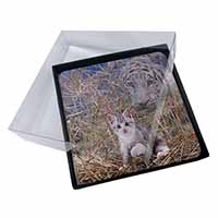 4x Kitten and White Tiger Watch Picture Table Coasters Set in Gift Box