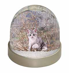 Kitten and White Tiger Watch Snow Globe Photo Waterball