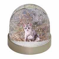 Kitten and White Tiger Watch Snow Globe Photo Waterball