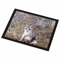 Kitten and White Tiger Watch Black Rim High Quality Glass Placemat