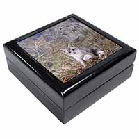 Kitten and White Tiger Watch Keepsake/Jewellery Box