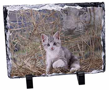 Kitten and White Tiger Watch, Stunning Photo Slate