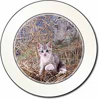 Kitten and White Tiger Watch Car or Van Permit Holder/Tax Disc Holder