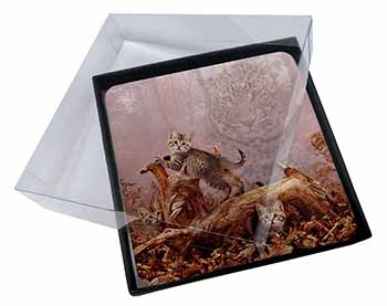 4x Kitten and Leopard Watch Picture Table Coasters Set in Gift Box