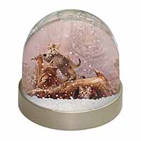 Kitten and Leopard Watch Snow Globe Photo Waterball