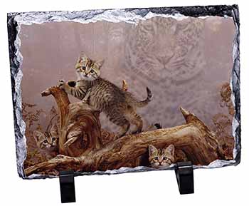 Kitten and Leopard Watch, Stunning Photo Slate