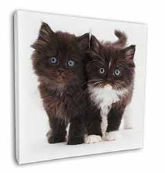 Black and White Kittens Square Canvas 12"x12" Wall Art Picture Print