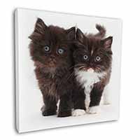 Black and White Kittens Square Canvas 12"x12" Wall Art Picture Print