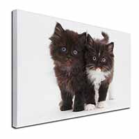 Black and White Kittens Canvas X-Large 30"x20" Wall Art Print