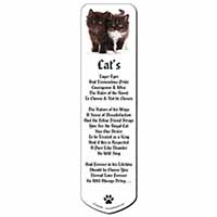 Black and White Kittens Bookmark, Book mark, Printed full colour