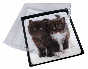 4x Black and White Kittens Picture Table Coasters Set in Gift Box