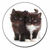 Black and White Kittens Fridge Magnet Printed Full Colour