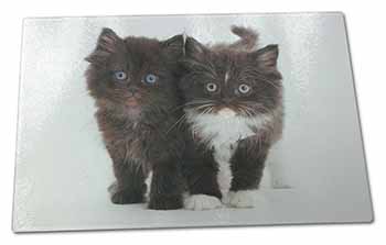 Large Glass Cutting Chopping Board Black and White Kittens