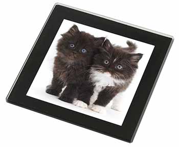 Black and White Kittens Black Rim High Quality Glass Coaster