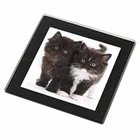Black and White Kittens Black Rim High Quality Glass Coaster