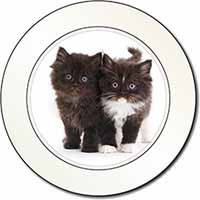 Black and White Kittens Car or Van Permit Holder/Tax Disc Holder
