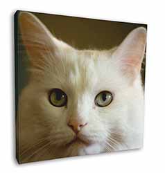 Gorgeous White Cat Square Canvas 12"x12" Wall Art Picture Print