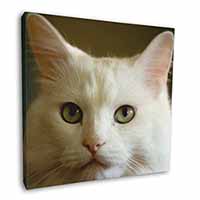 Gorgeous White Cat Square Canvas 12"x12" Wall Art Picture Print