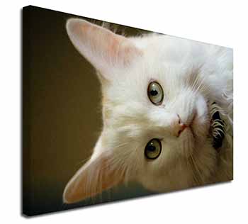 Gorgeous White Cat Canvas X-Large 30"x20" Wall Art Print