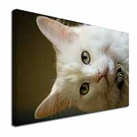 Gorgeous White Cat Canvas X-Large 30"x20" Wall Art Print