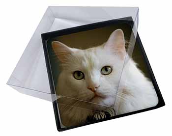 4x Gorgeous White Cat Picture Table Coasters Set in Gift Box