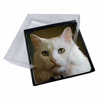 4x Gorgeous White Cat Picture Table Coasters Set in Gift Box
