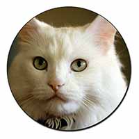 Gorgeous White Cat Fridge Magnet Printed Full Colour