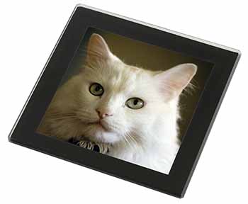 Gorgeous White Cat Black Rim High Quality Glass Coaster