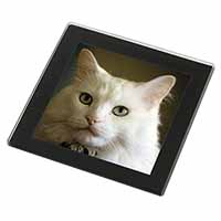 Gorgeous White Cat Black Rim High Quality Glass Coaster