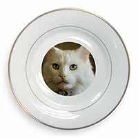 Gorgeous White Cat Gold Rim Plate Printed Full Colour in Gift Box
