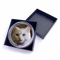Gorgeous White Cat Glass Paperweight in Gift Box