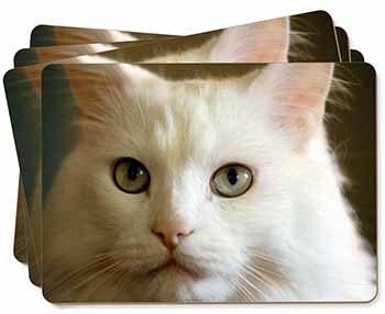 Gorgeous White Cat Picture Placemats in Gift Box