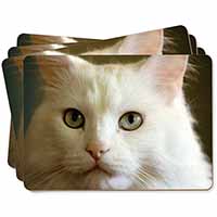 Gorgeous White Cat Picture Placemats in Gift Box