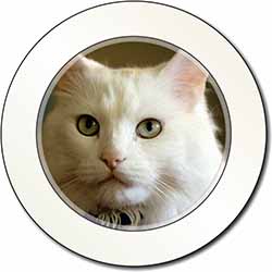 Gorgeous White Cat Car or Van Permit Holder/Tax Disc Holder