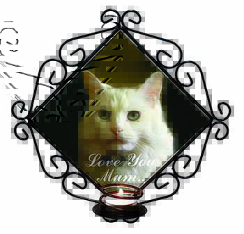 White Cat 