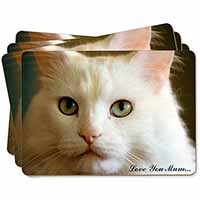 White Cat 
