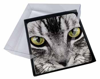 4x Silver Tabby Cat Face Picture Table Coasters Set in Gift Box