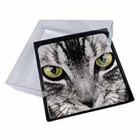 4x Silver Tabby Cat Face Picture Table Coasters Set in Gift Box