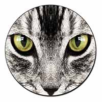 Silver Tabby Cat Face Fridge Magnet Printed Full Colour