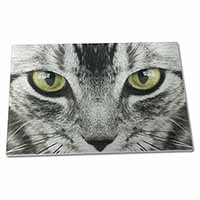Large Glass Cutting Chopping Board Silver Tabby Cat Face