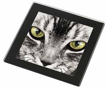 Silver Tabby Cat Face Black Rim High Quality Glass Coaster