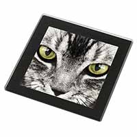 Silver Tabby Cat Face Black Rim High Quality Glass Coaster