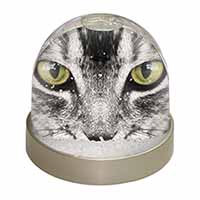 Silver Tabby Cat Face Snow Globe Photo Waterball