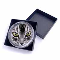 Silver Tabby Cat Face Glass Paperweight in Gift Box