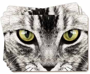 Silver Tabby Cat Face Picture Placemats in Gift Box