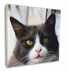 Pretty Black and White Cat Square Canvas 12"x12" Wall Art Picture Print