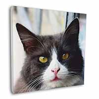 Pretty Black and White Cat Square Canvas 12"x12" Wall Art Picture Print