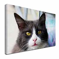 Pretty Black and White Cat Canvas X-Large 30"x20" Wall Art Print